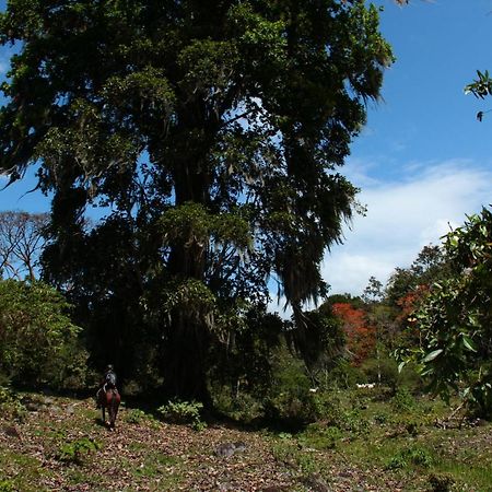 Hôtel Hacienda Monteclaro à Turrialba Extérieur photo